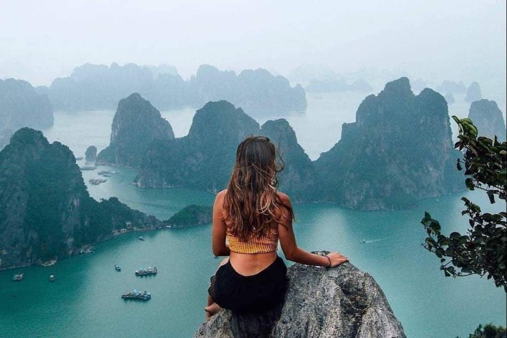 מפרץ האלונג 